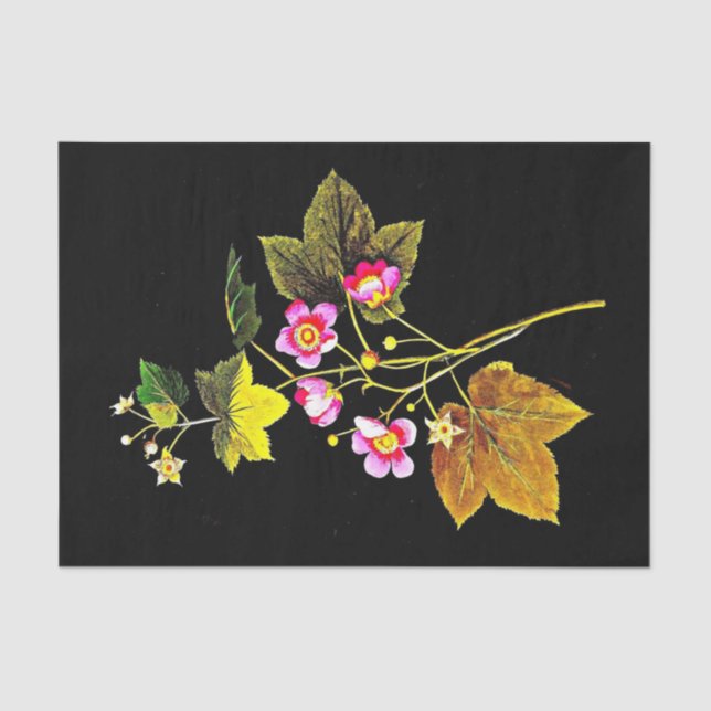 Papier Mousseline Papier de découpage 10"x15" - Mary Delany 2 (Recto)