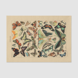 Papier Mousseline Papier de découpage 10"x15" - Papillon Vintage Art