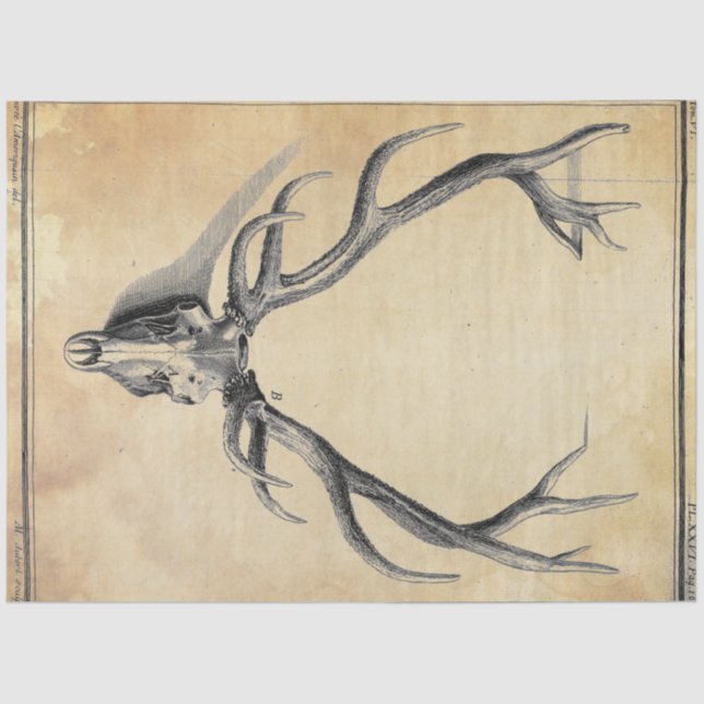 Papier Mousseline Papier de découpage Antler (Recto)