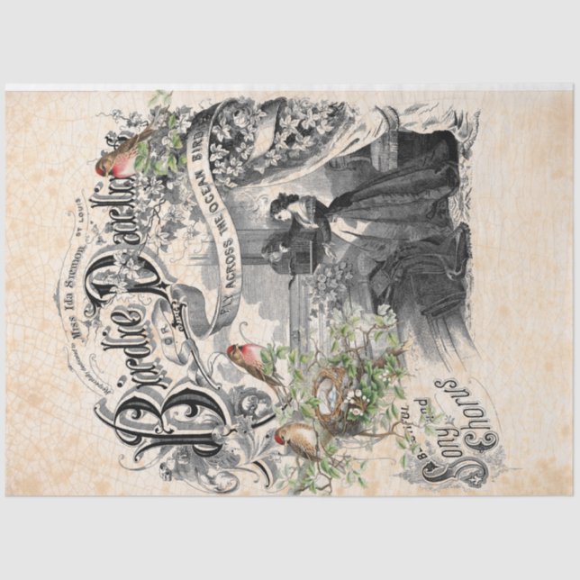 Papier Mousseline Papier de découpage de Birdie Darling (Recto)