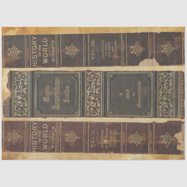 Papier Mousseline Papier de découpage de la colonne vertébrale (Recto)