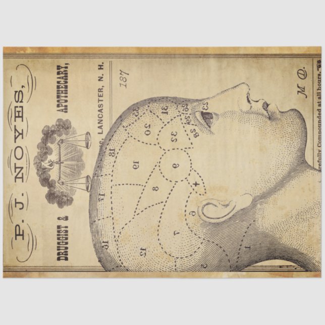 Papier Mousseline Papier de découpage de meubles apothécaires (Recto)