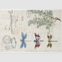 Papier de découpage de meubles Ephemera de libellu