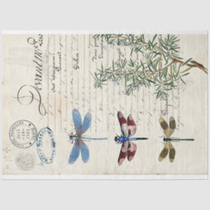 Papier Mousseline Papier de découpage de meubles Ephemera de libellu