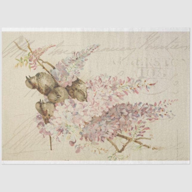 Papier Mousseline Papier de découpage de meubles pour oiseaux doux (Recto)