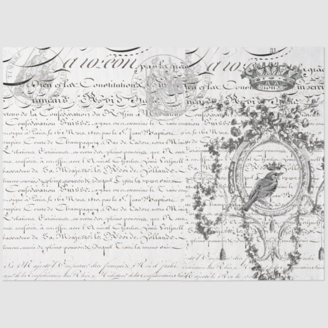 Papier Mousseline Papier de découpage de script de dessin d'oiseaux  (Recto)