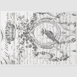 Papier Mousseline Papier de découpage de script d'oiseaux