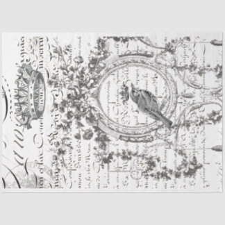 Papier Mousseline Papier de découpage de script d'oiseaux