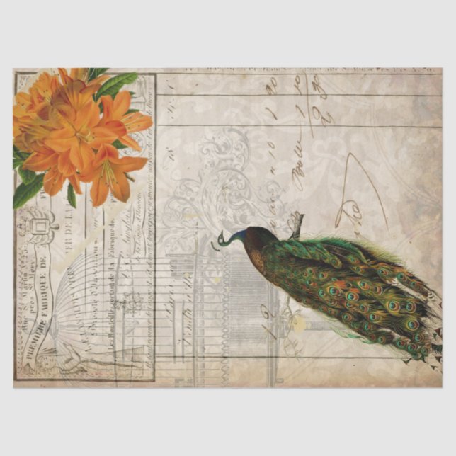 Papier Mousseline Papier de Decoupage d'éphémères de paon (Recto)