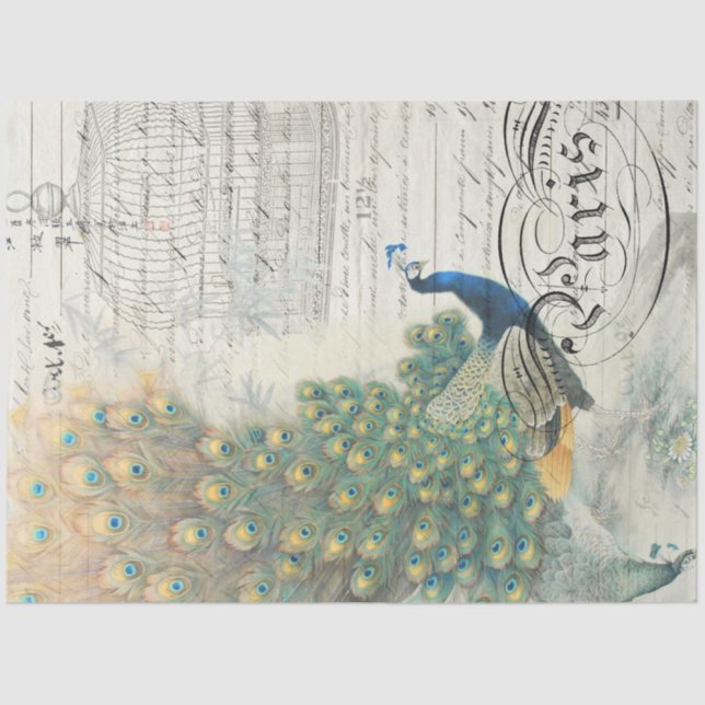 Papier Mousseline Papier de découpage Ephemera Peacock (Recto)