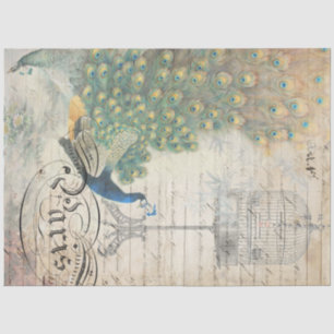 Papier Mousseline Papier de découpage Ephemera Peacock gauche