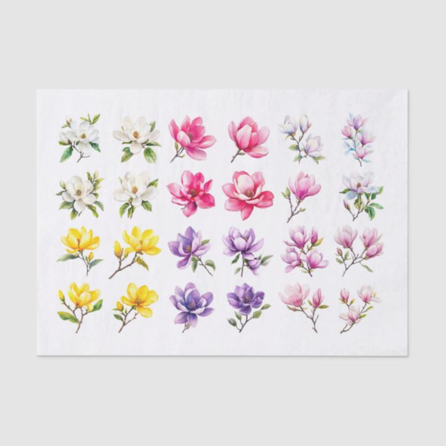 Papier Mousseline Papier de découpage Magnolia Assortiment (Recto)