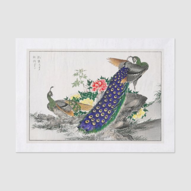 Papier Mousseline Papier de découpage Peacock (Recto)