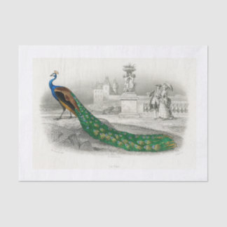 Papier Mousseline Papier de découpage Peacock