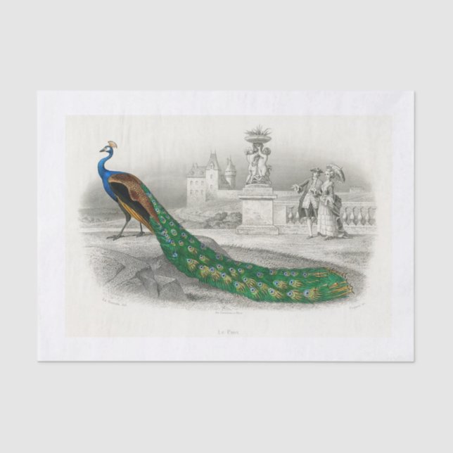 Papier Mousseline Papier de découpage Peacock (Recto)