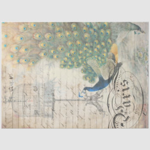 Papier Mousseline Papier de découpage Peacock Ephemera Droite