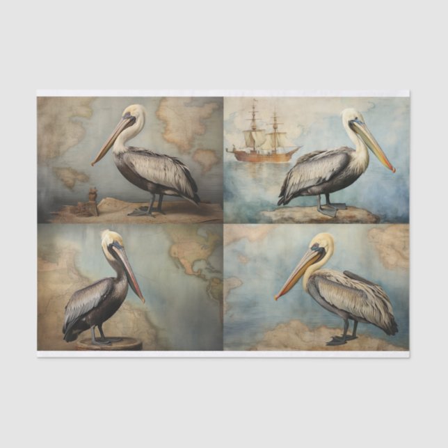 Papier Mousseline Papier de découpage Pélican Collage 2 (Recto)