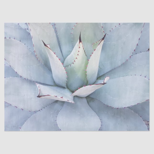 Papier Mousseline Papier de fond de découpage de Cactus du désert (Recto)