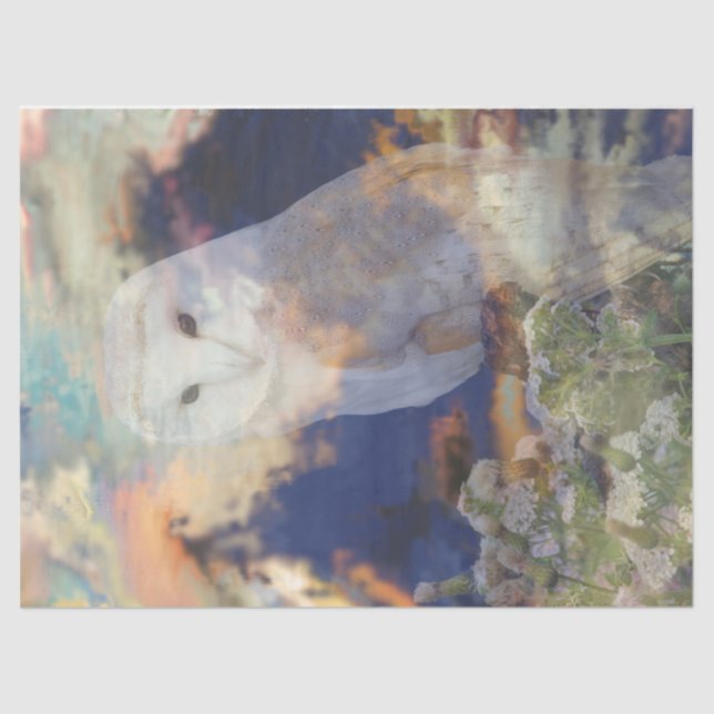 Papier Mousseline Papier de fond de découpage de choux Breeze (Recto)