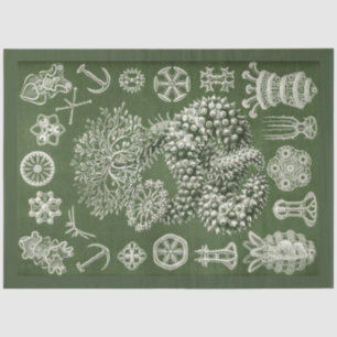 Papier Mousseline Papier de fond de découpage de la vie marine vinta