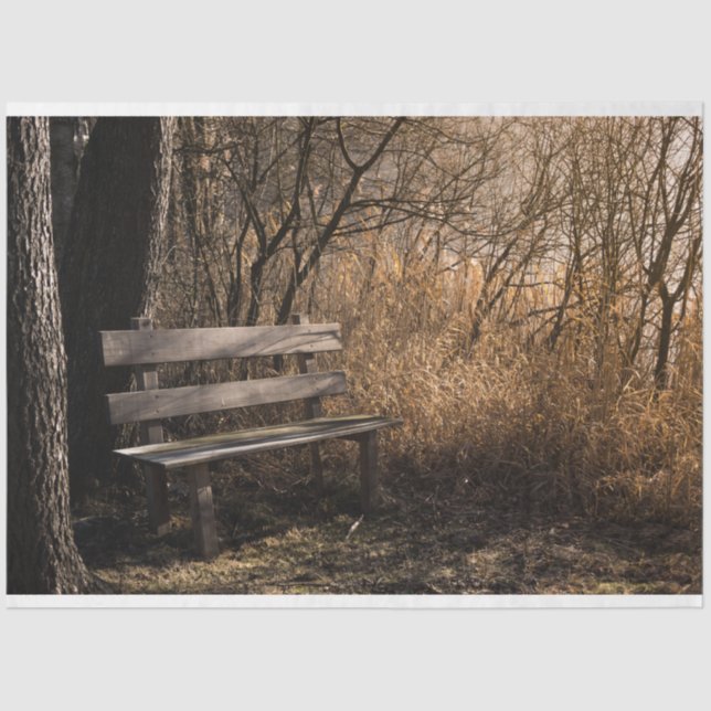 Papier Mousseline Papier de fond de découpage du banc de parc forest (Recto)