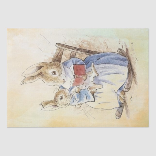 Papier Mousseline Papier de fond Peter Rabbit (Recto)