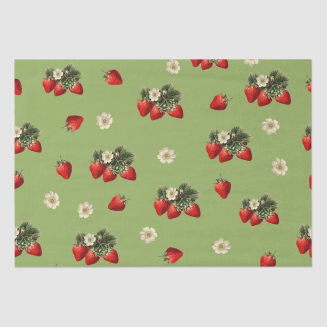 Papier Mousseline Papier de fraise sur mousse vert (Recto)