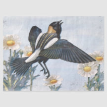Papier de papier de découpage pour oiseaux Bobolin