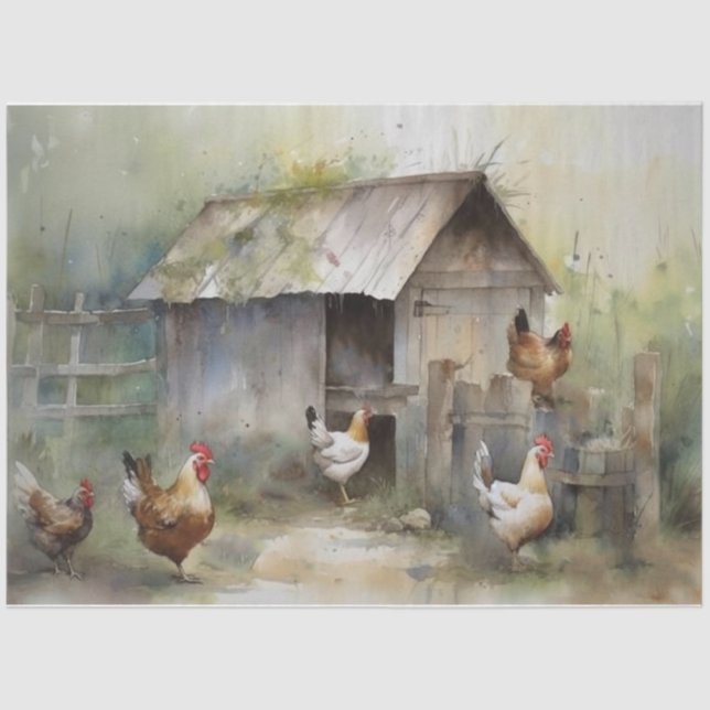 Papier Mousseline Papier de papier de fond de cuvette de poulet (Recto)