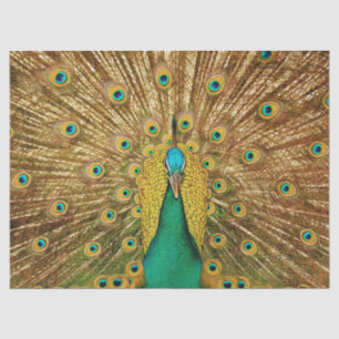 Papier Mousseline Papier de papier de fond Peacock 2 Wall Art Decoup