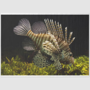 Papier Mousseline papier de tissu aquarium lionfish