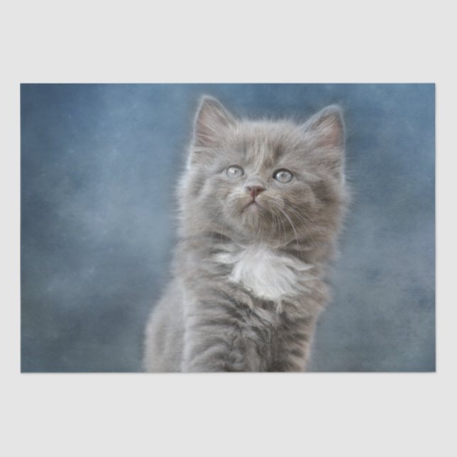 Papier Mousseline papier de tissu de chat orageux (Recto)