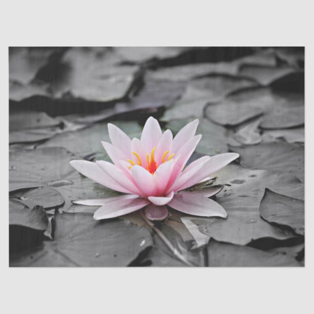 Papier Mousseline papier de tissu de nénuphar (Recto)