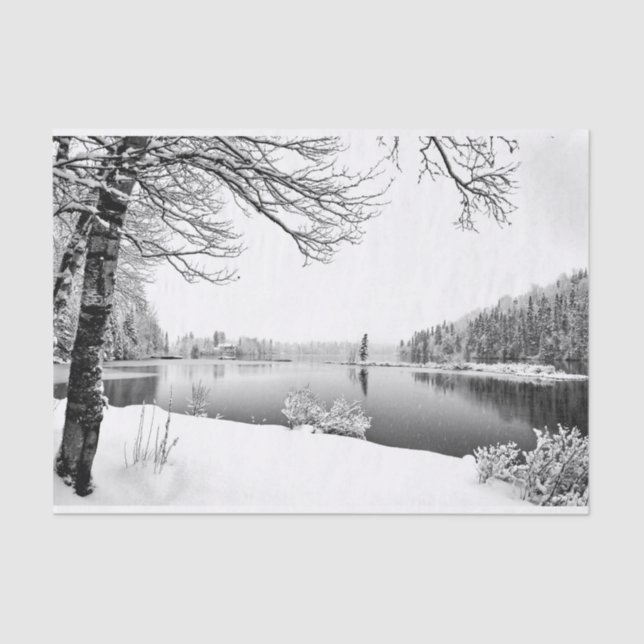 Papier Mousseline papier de tissu de paysage hivernal (Recto)