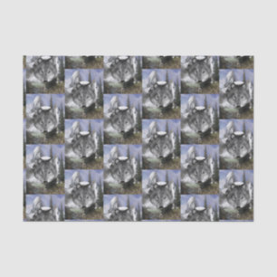 Papier Mousseline Papier de tissu décoratif Wolf