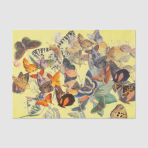 PAPIER MOUSSELINE PAPIER DE TISSU EN JAUNE