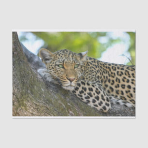 Papier Mousseline papier de tissu léopard