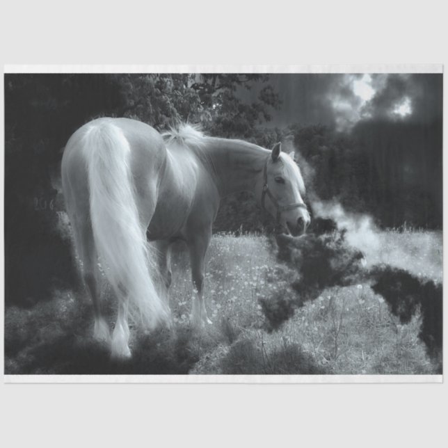 Papier Mousseline papier de tissu mystique de cheval de nuit (Recto)