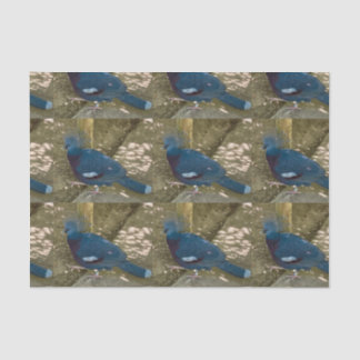 Papier Mousseline Papier de tissu Oiseau bleu