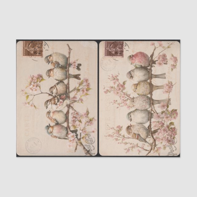 Papier Mousseline Papier de tissus Branchy Birds (Recto)