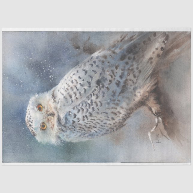 Papier Mousseline Papier de tissus de chouette d'hiver (Recto)