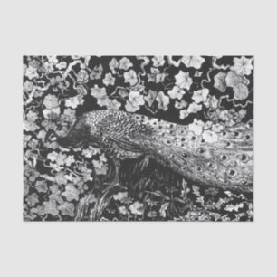 Papier Mousseline Papier de tissus NOIR ET BLANC PEACOCK