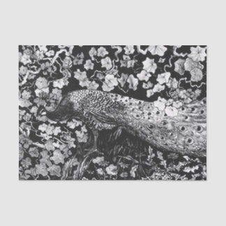 Papier Mousseline Papier de tissus NOIR ET BLANC PEACOCK