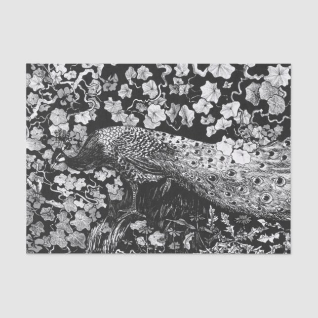 Papier Mousseline Papier de tissus NOIR ET BLANC PEACOCK (Recto)