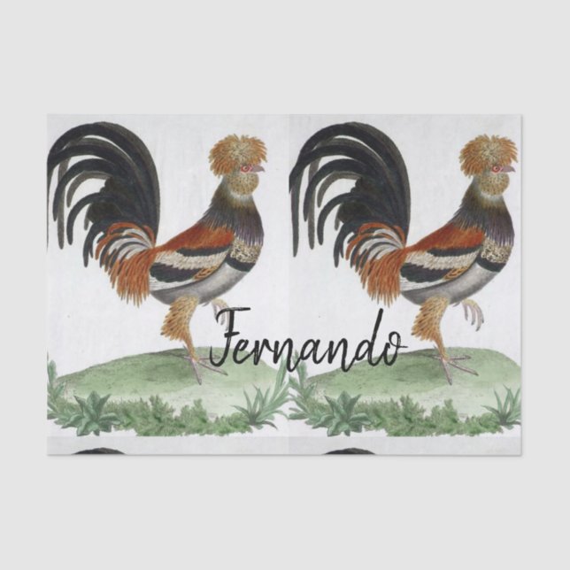 Papier Mousseline Papier de tissus Oiseau français (Recto)