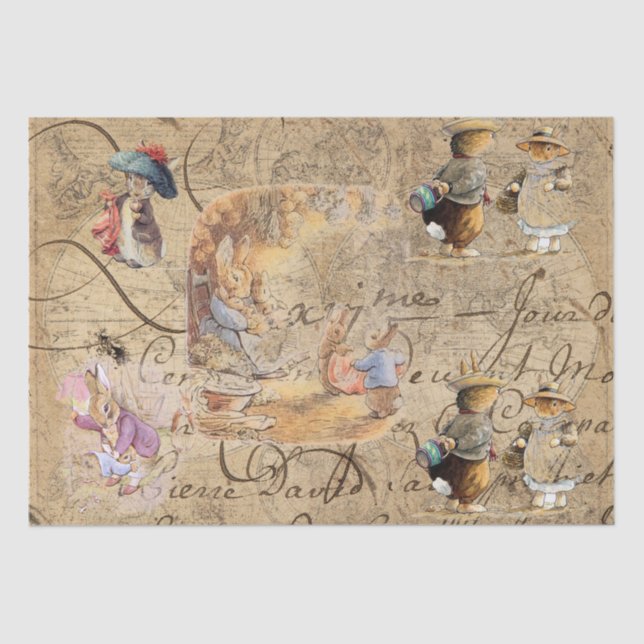 Papier Mousseline Papier de tissus peter rabbit (collection5) (Recto)