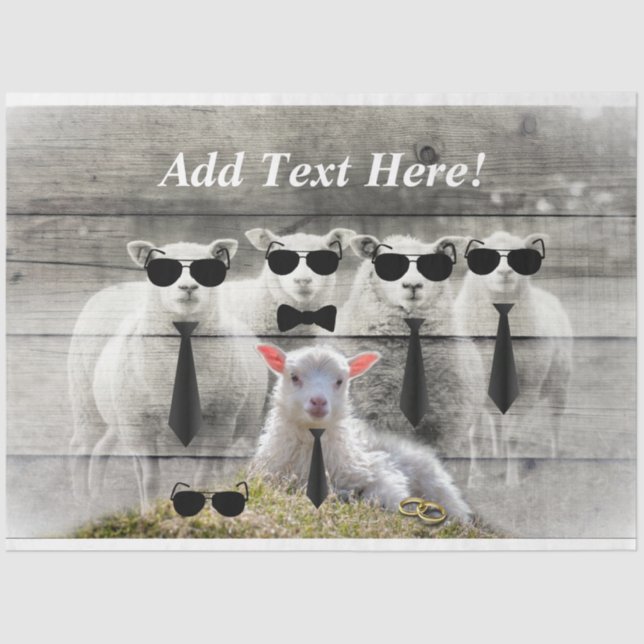 Papier Mousseline Papier de tissus pour agneau pour bébé (Recto)