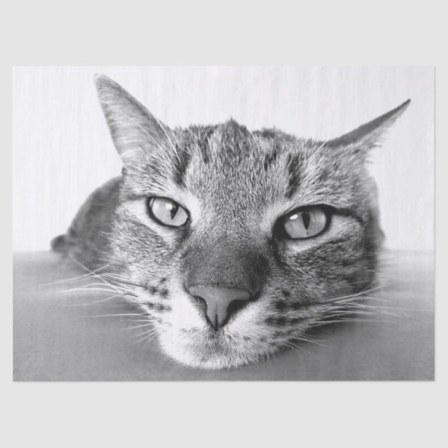 Papier Mousseline Papier mouchoir (Recto)