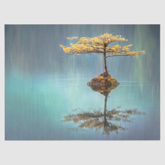 PAPIER MOUSSELINE PAPIER MOUSSELINE: "ARBRE SUR UNE ÎLE"   (Recto)