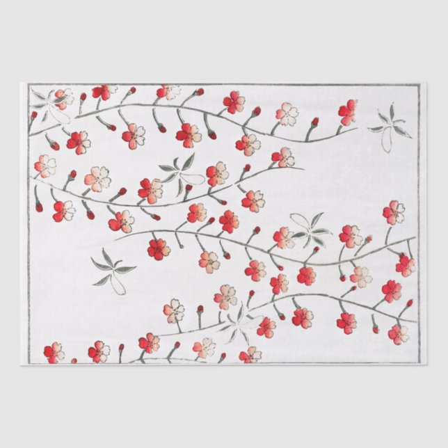 PAPIER MOUSSELINE PAPIER MOUSSELINE: WATANABE SEITEI : CHERRY BLOSSO (Recto)